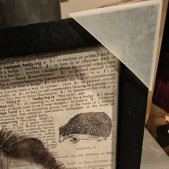 Hedgehog w/Glasses Art Print Non Breakable Glass Front - Picture 5 of 5